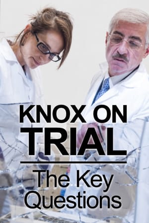 Amanda Knox Trial: 5 Key Questions