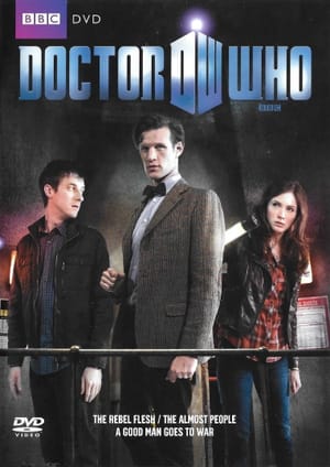 Doctor Who: The Rebel Flesh & The Almost People