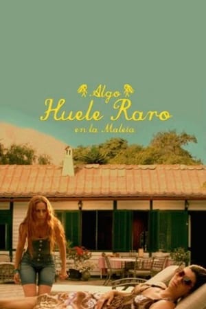 Algo huele raro en la maleta