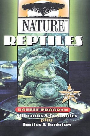 The Reptiles: Alligators & Crocodiles
