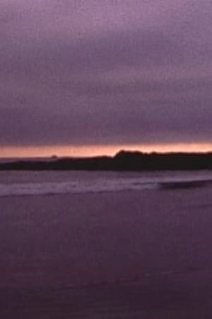 On the Way to Tofino