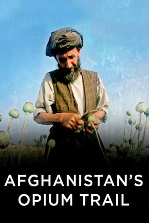 Afghanistan's Opium Trail