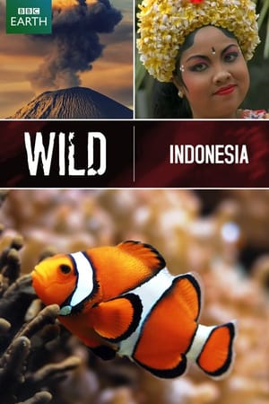 Wild Indonesia