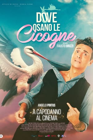 Where Storks Dare
