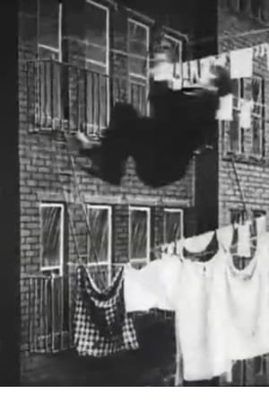 The Burglar's Slide for Life
