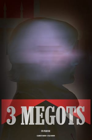 3 MEGOTS