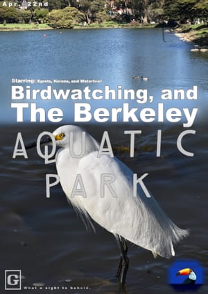 The Berkeley Aquatic Park