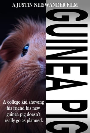 Guinea Pig