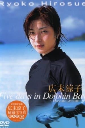 Five days in Dolphin Bay