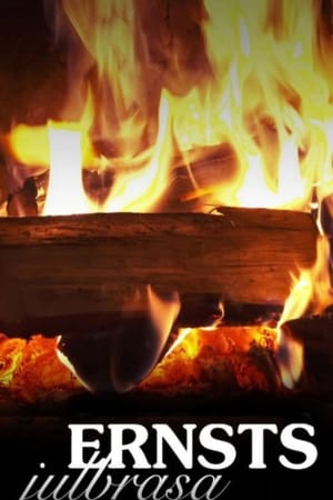 Ernsts julbrasa – 3 timmar brasvideo