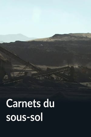 Carnets du sous-sol