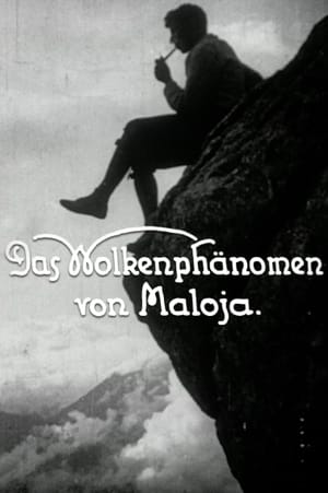 Cloud Phenomena of Maloja