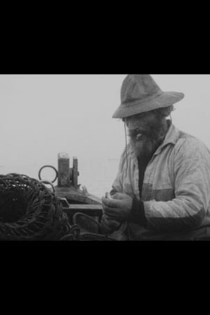 La Pêche aux homards