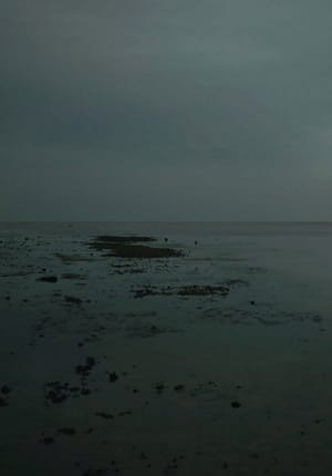 Meta Incognita: Missive II