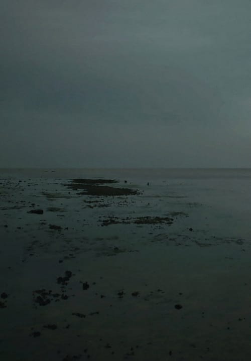 Meta Incognita: Missive II