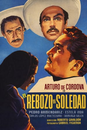 Soledad's Shawl
