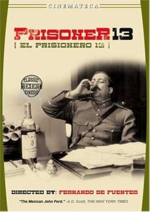 Prisoner 13