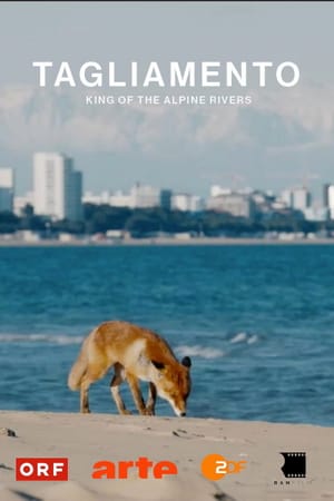 Tagliamento - King of The Alpine Rivers