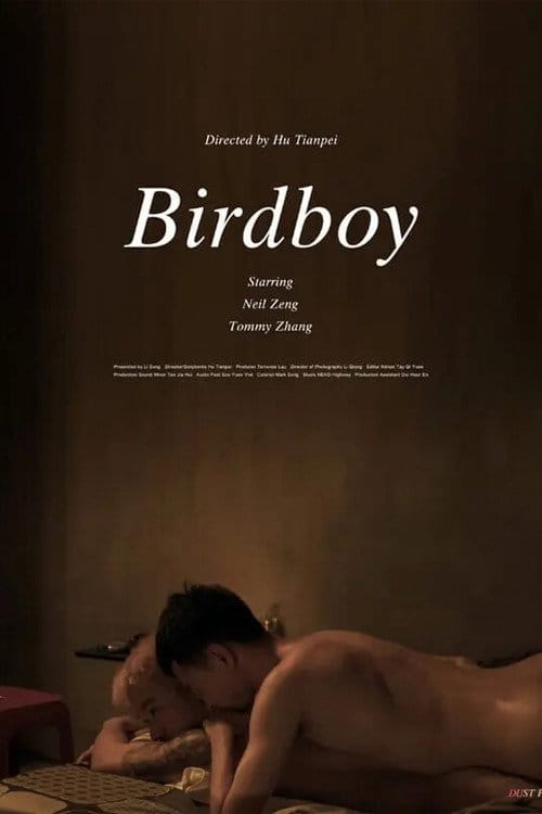Birdboy