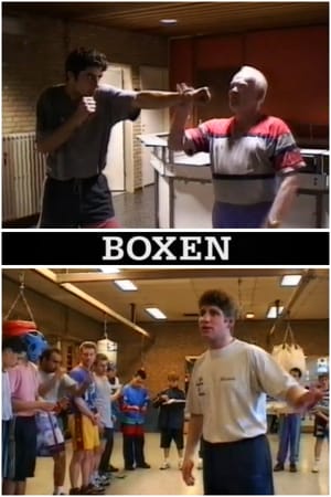 Boxen