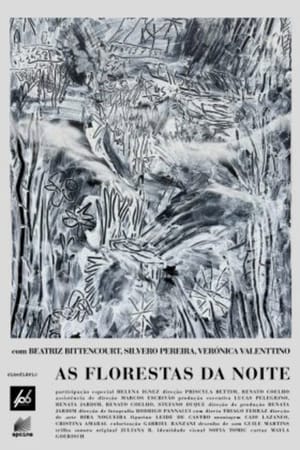 As Florestas da Noite