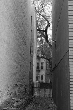 Brooklyn Interlude