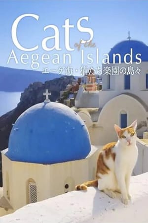 Cats of the Aegean Islands