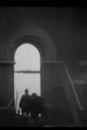 Burning of the Academy of Music, Brooklyn