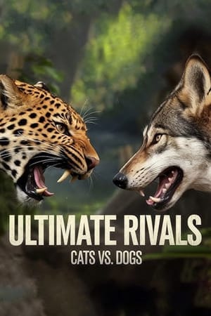Ultimate Rivals: Cats vs Dogs