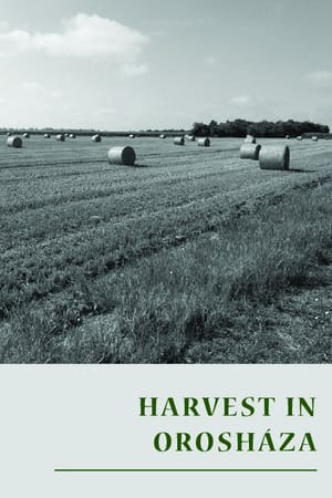 Harvest in Orosháza
