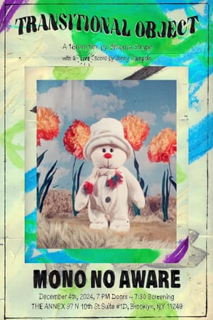 Transitional Object