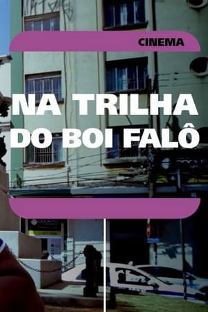 Na Trilha do Boi Falô