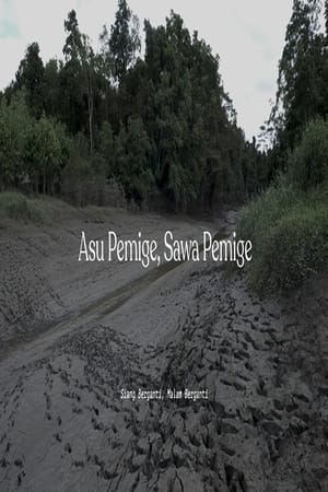 Asu Pemige Sawa Pemige