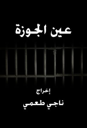 Ain El Jawze