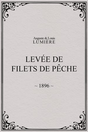 Levée de filets de pêche