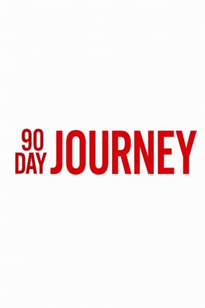 90 Day Journey