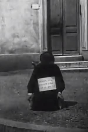 The Fraudulent Beggar