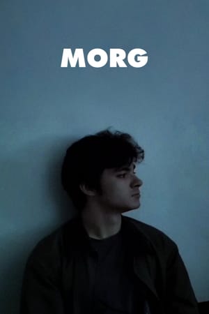 Morg