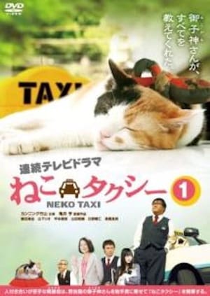 Cat Taxi