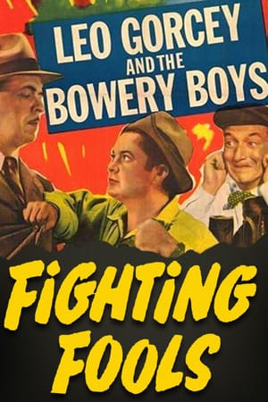 Fighting Fools