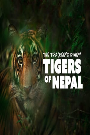 The Trackers Diary Tigers Of Nepal