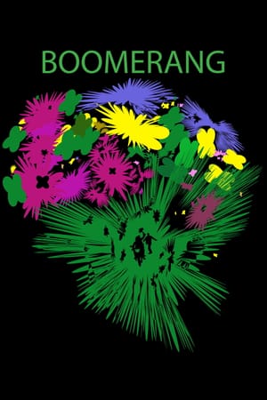 Boomerang
