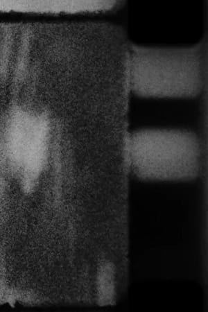 Políptico elemental