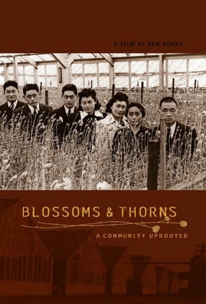 Blossoms & Thorns