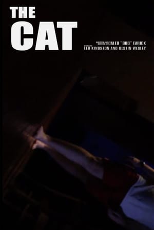 The Cat