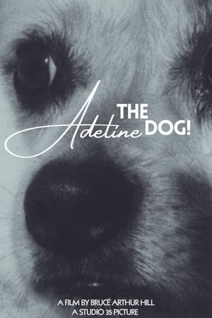 Adeline The Dog!
