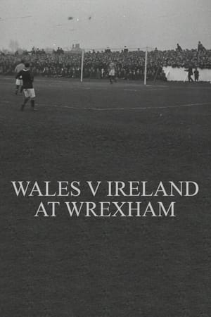 Wales v. Ireland at Wrexham