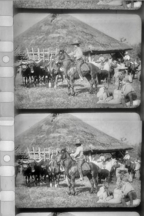 Les Apaches du Far-West