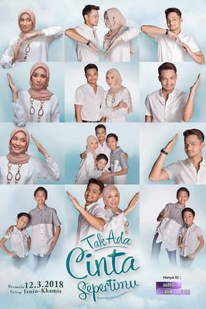 Tak Ada Cinta Sepertimu