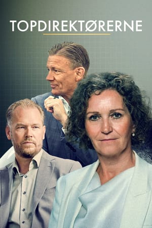 Topdirektørerne